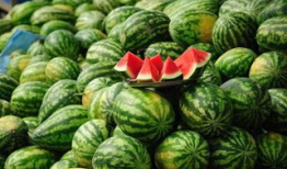 临海爆料吃瓜事件真相,真相大白背后的曲折历程